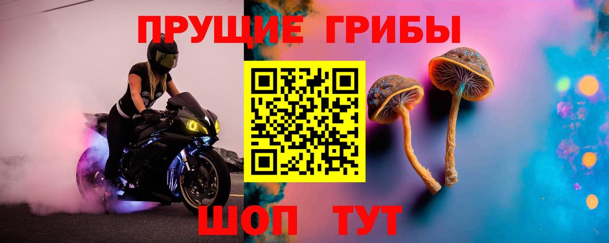 Сорочинск  Псилоцибиновые грибы Magic Shrooms  Вход с VPN 
